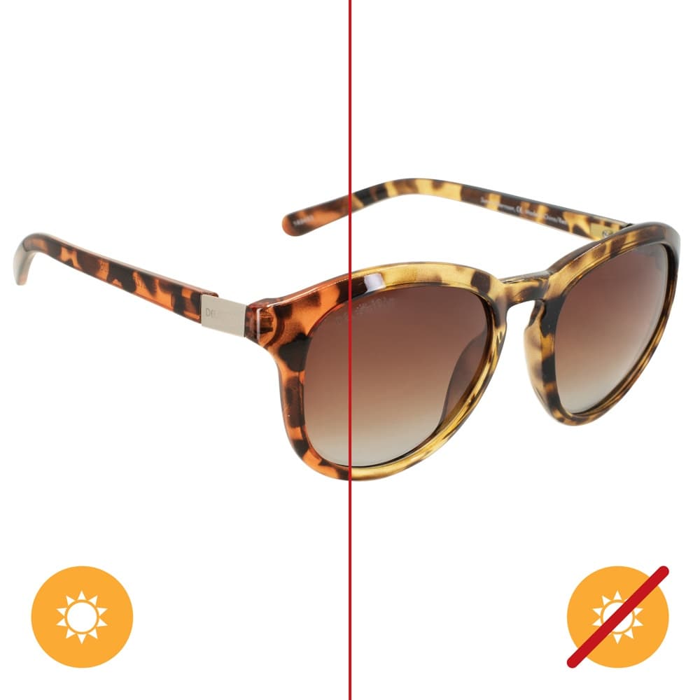 Solize Sunny Afternoon Sunglasses